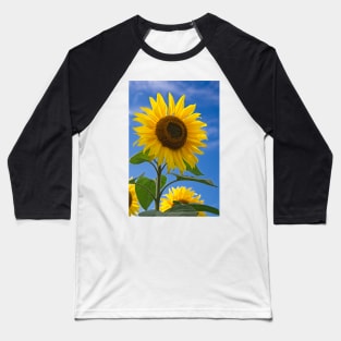 Sunflower Baseball T-Shirt